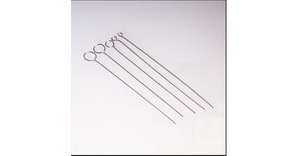 Que cấy vi sinh inox