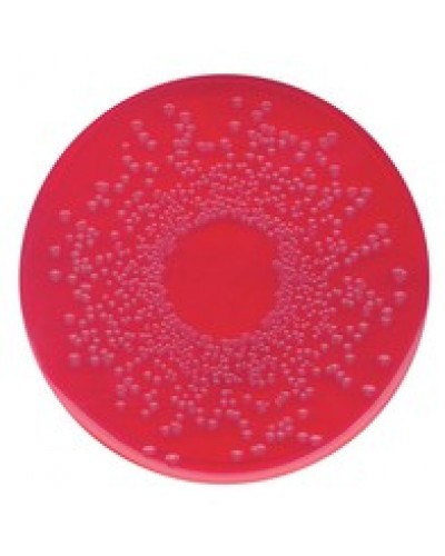 BPLS agar for the isolation of Salmonella Merck