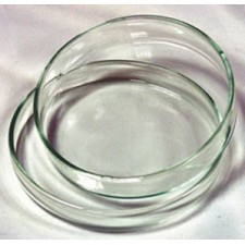 Hộp lồng petri fi 10
